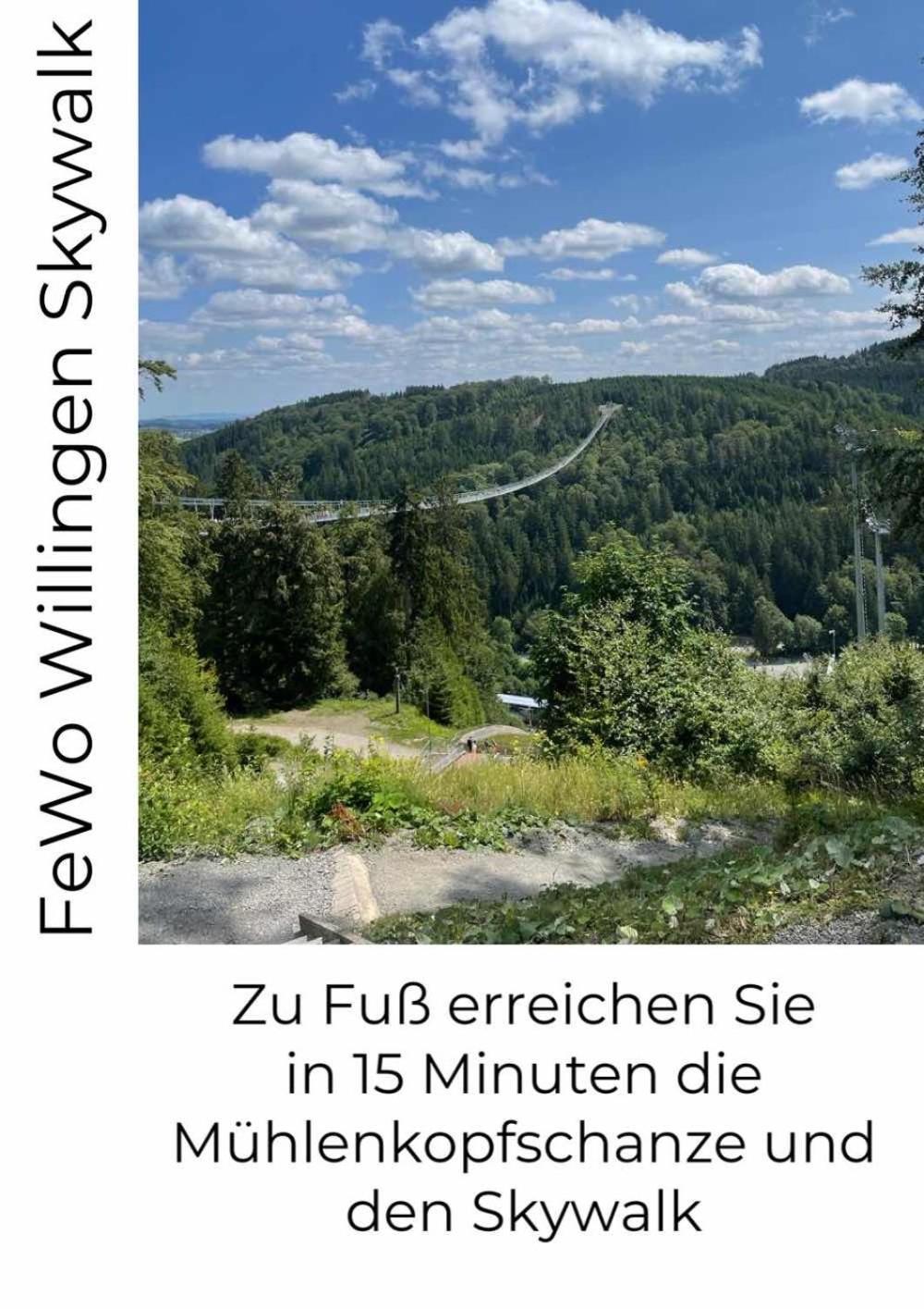Fewo Skywalk Willingen Stryck Экстерьер фото