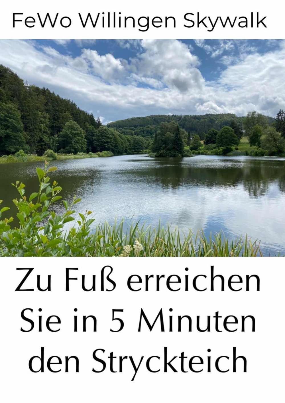 Fewo Skywalk Willingen Stryck Экстерьер фото